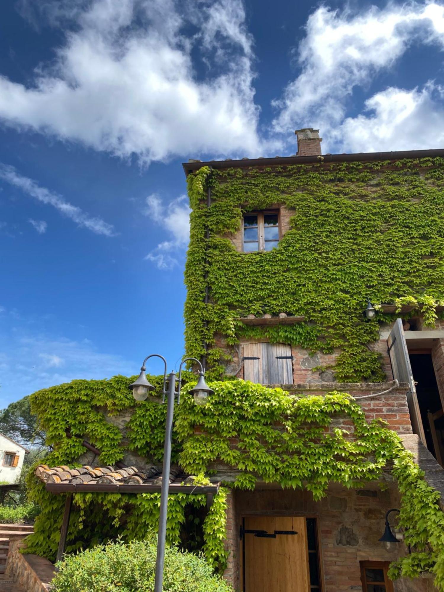 Agriturismo Borgo 7 Tigli - Apt 1 Montepulciano Zewnętrze zdjęcie